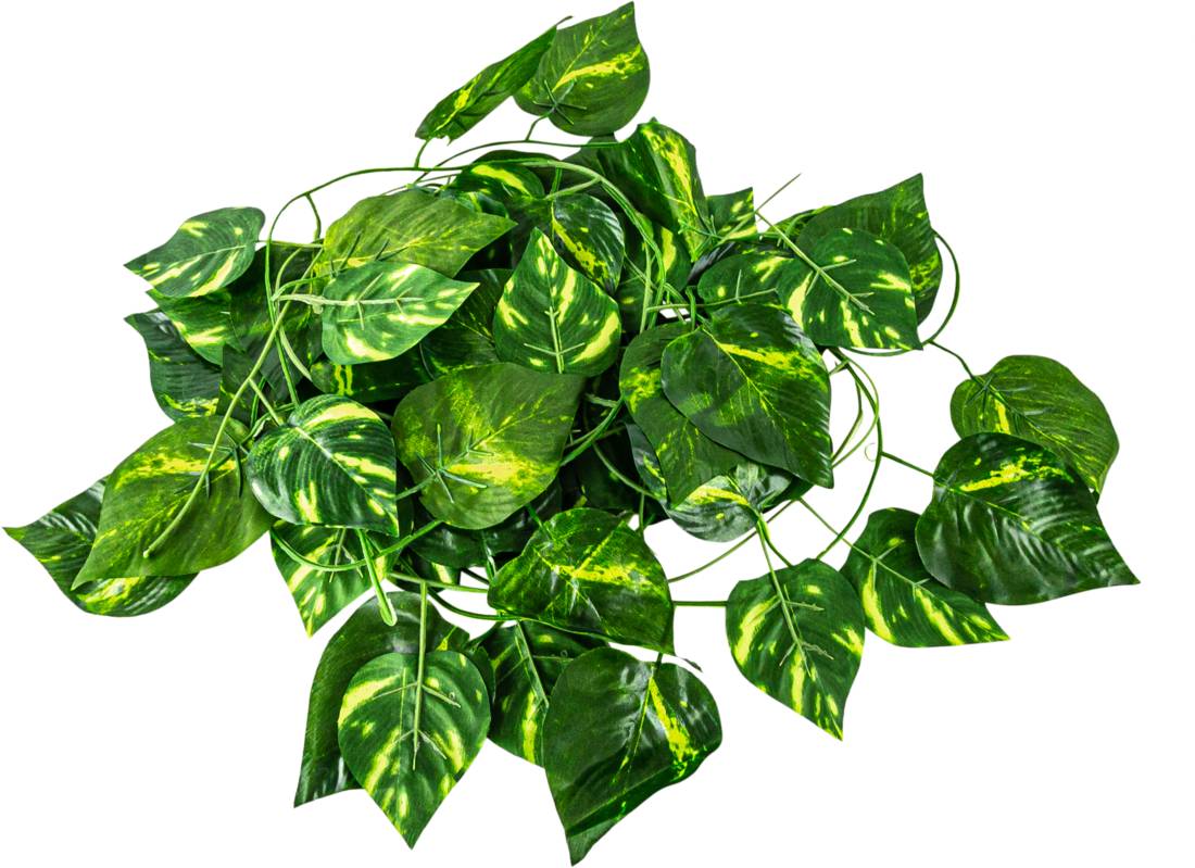 Terrassic Reptile Décor Evergreen Vine, Large