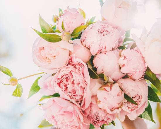 Pioneer Flowers - Artesia