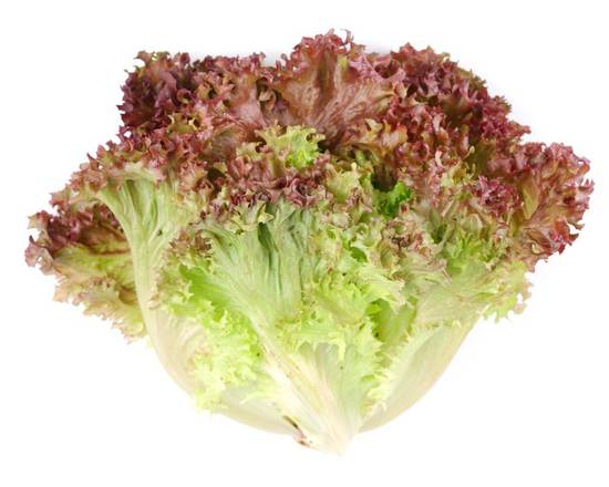Order Organic Red Leaf Lettuce (1 ct) food online from Safeway store, Eureka on bringmethat.com