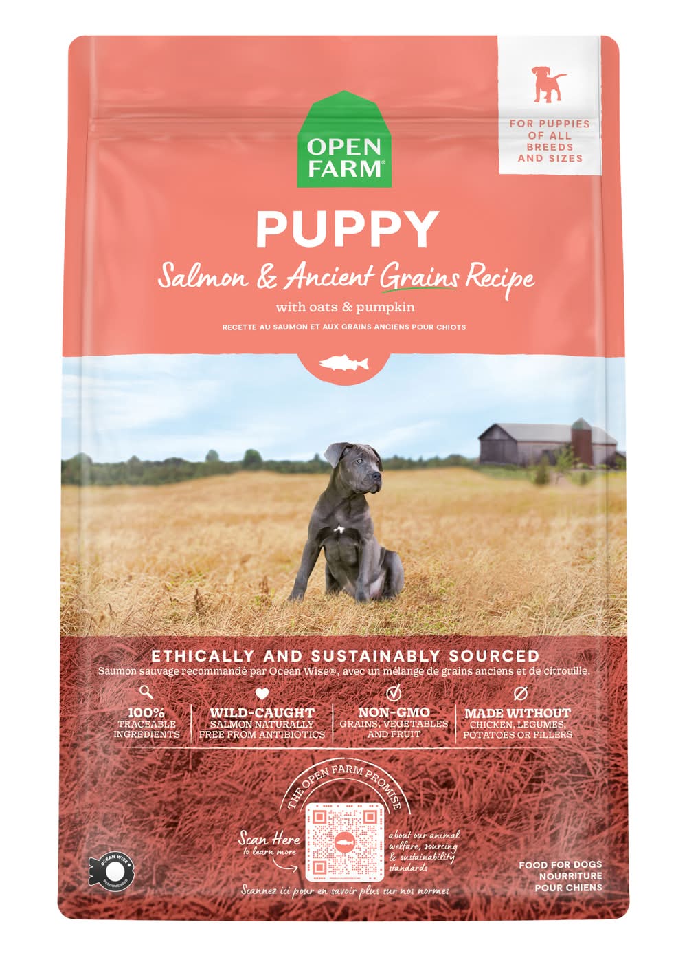 Open Farm Puppy Salmon & Ancient Grains Recipe Food For Dogs (4 lbs)