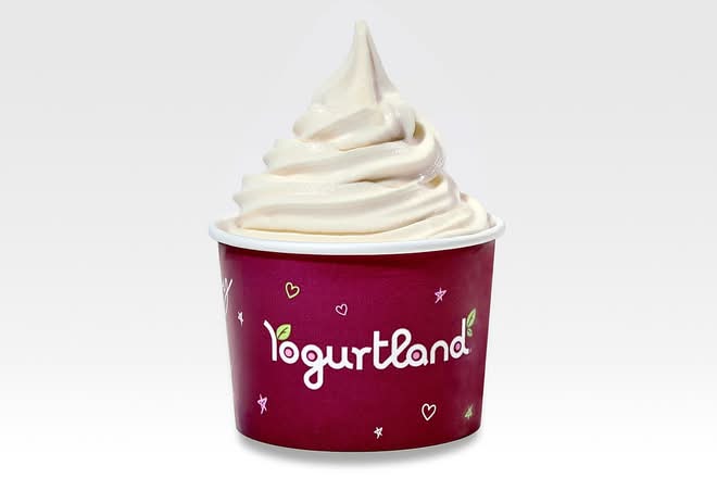 Creamy Vanilla Ice Cream