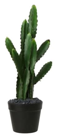 Large Saguaro Cactus Faux House Plant 8in x 27in