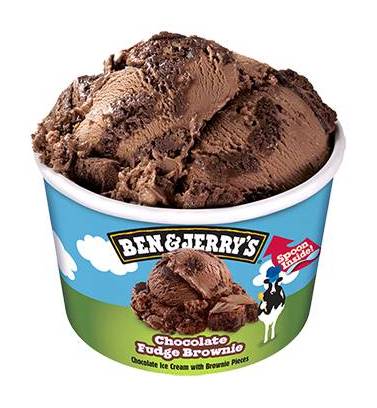 Ben & Jerry’s Chocolate Fudge Brownie Ice Cream 100ml