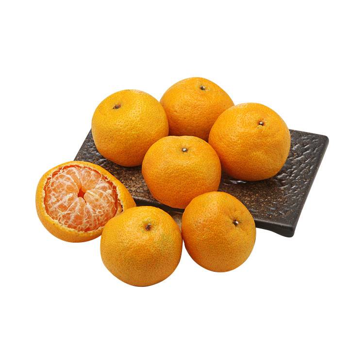 進口砂糖橘(約600g+-5%)/袋#815574