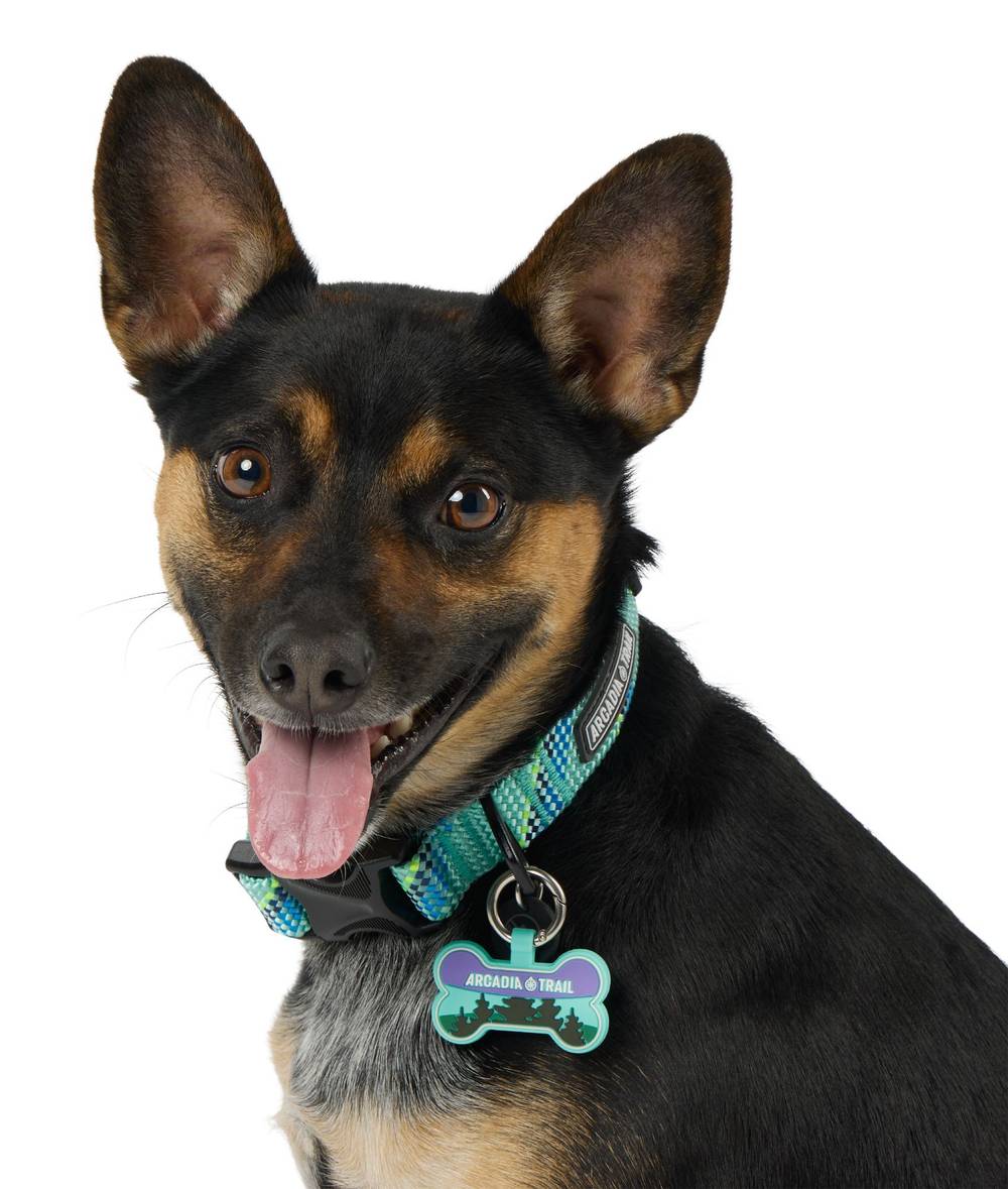 Arcadia Trail® Silicone Dog Tag Silencer (Color: Multi Color)