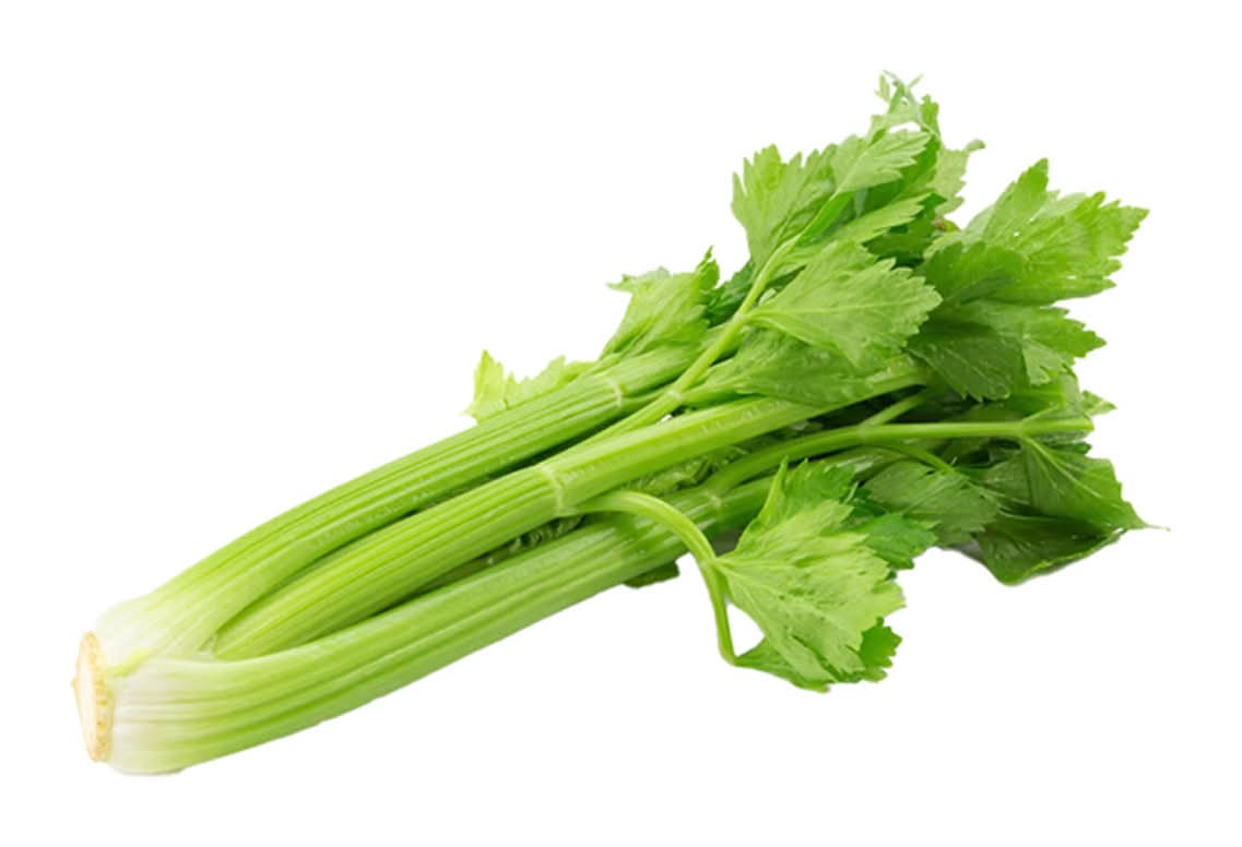 Celery