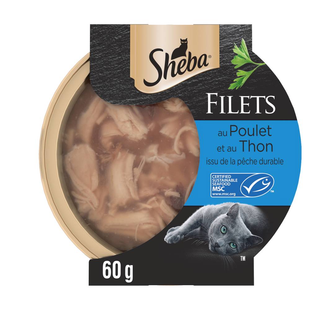 Sheba - Pâtée pour chat adulte filets, poulet-thon (60g)