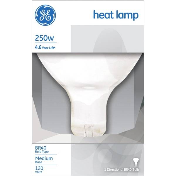 Incandescent 250w R40 Clear Heat Lamp Nondimmable Light Bulb (1 ct)