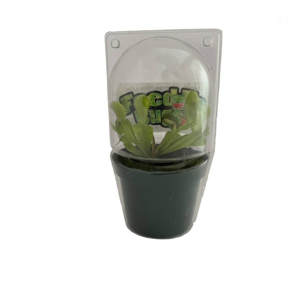 Lowe's Carnivorous Plant House Plant in 1-oz Pot | NURSERY