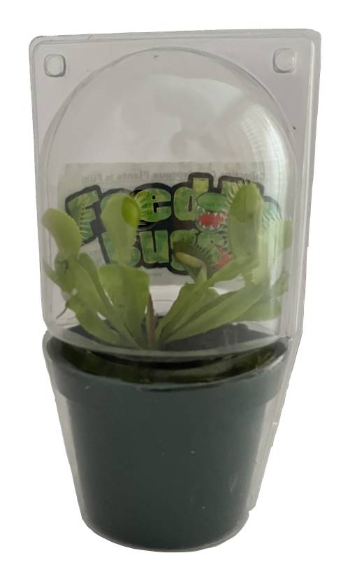Gubler Carnivorous Plant House plant in 1 Ounce(s) Pot 1 -Pack | G2C