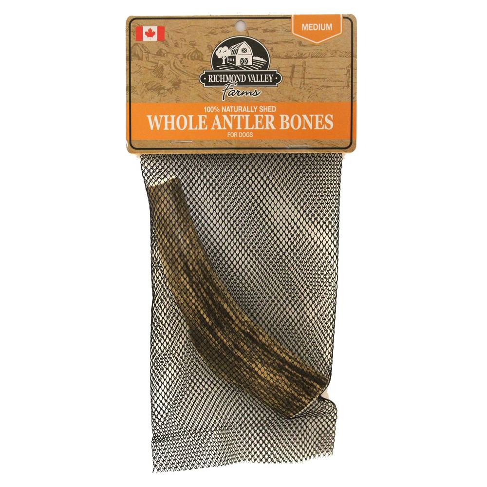 Richmond Valley Farms Whole Antler Bone Dog Treat, Medium