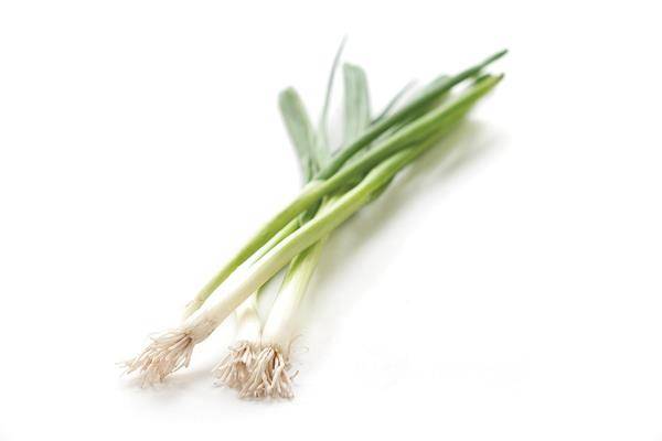 Green Onions (Scallions)