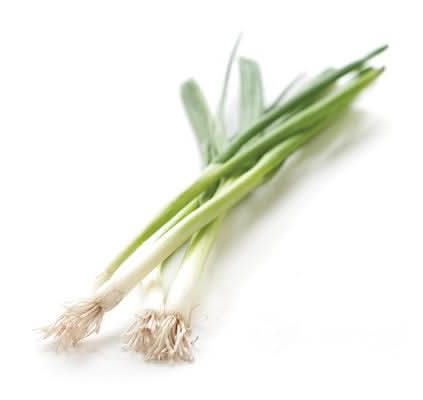 Green Onions (Scallions)