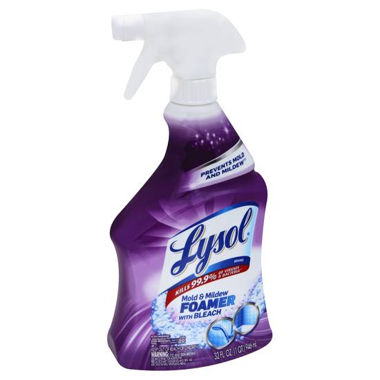 Lysol Mold & Mildew Remover With Bleach