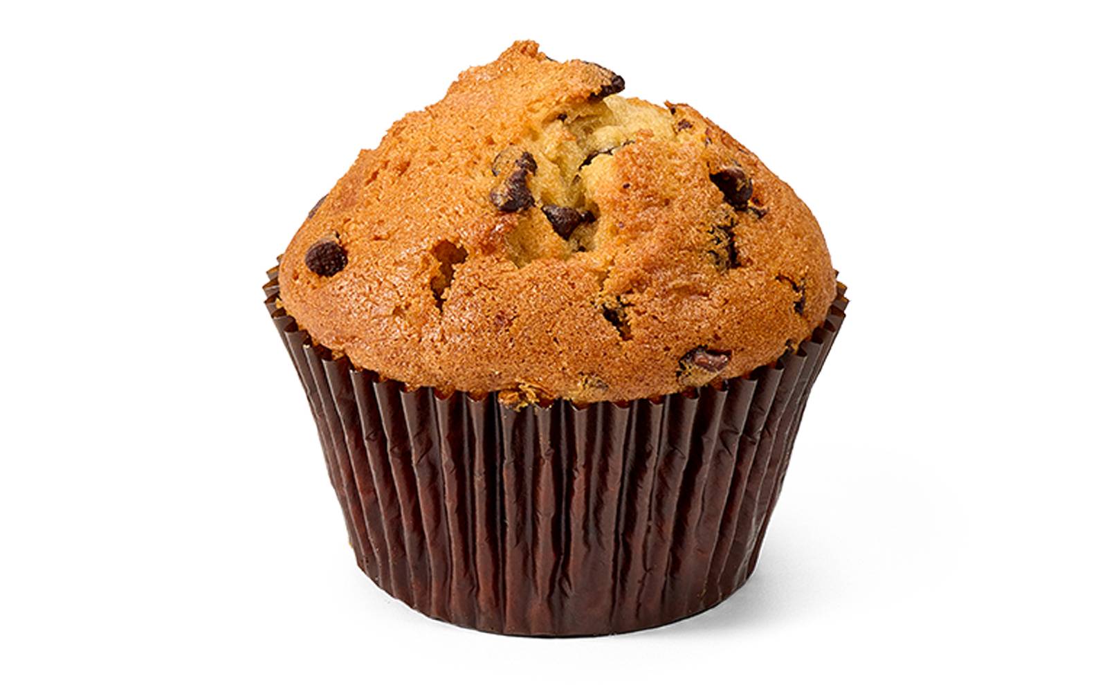 Chocolate Chip Muffin