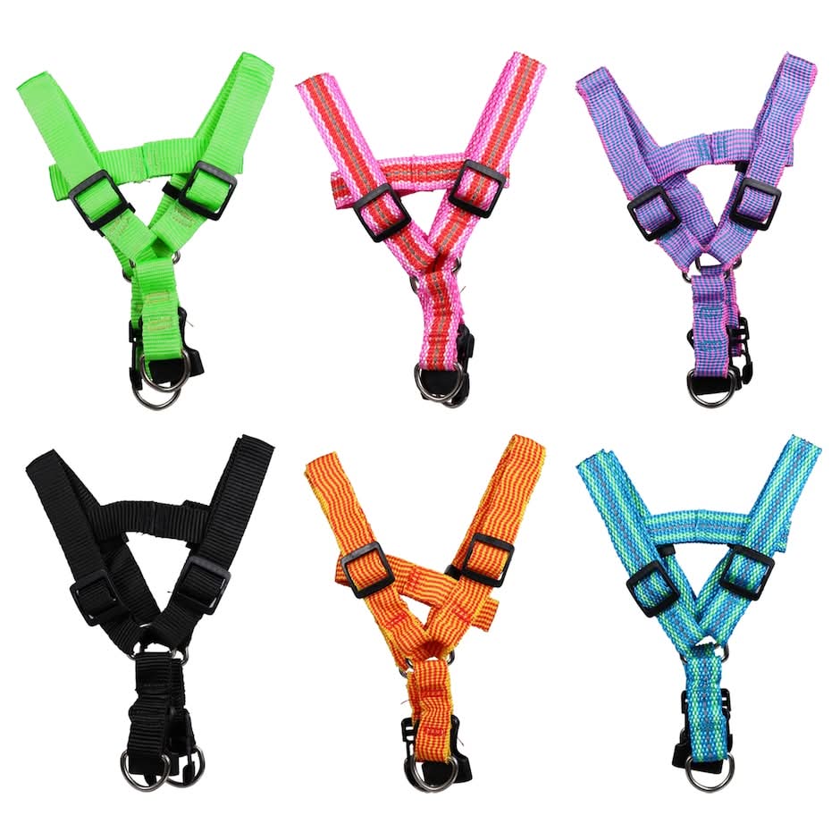Greenbrier Kennel Club Pet Harnesses, Assorted
