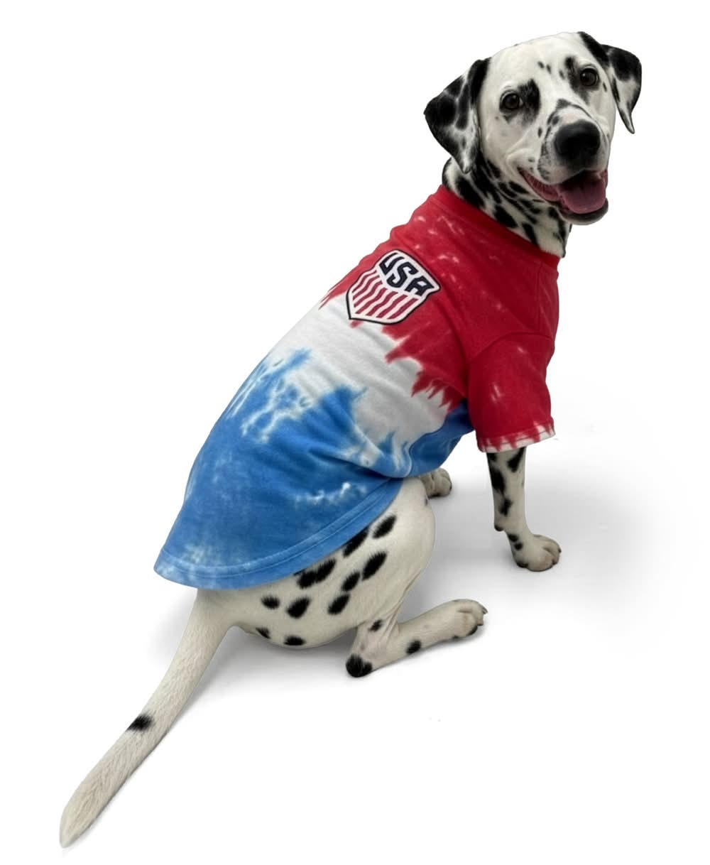 U.S. Soccer Tee (Color: Multi Color, Size: X Large)