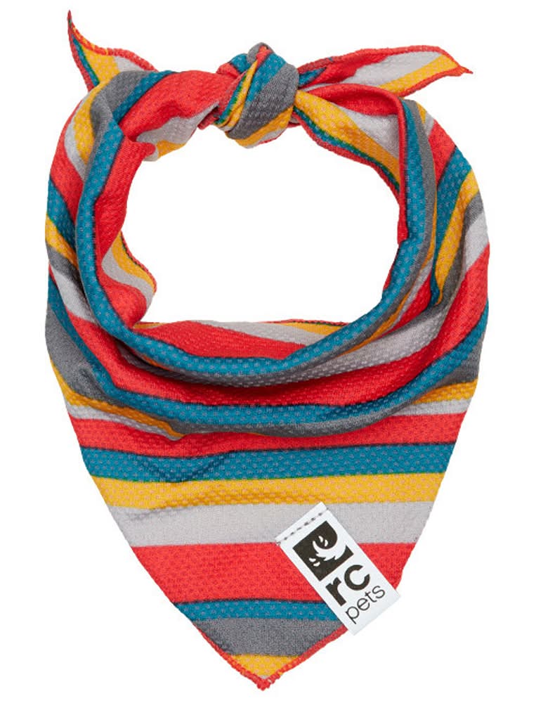 RC Pets Zephyr Multi-Stripes Cooling Dog Bandana (Small/ Medium)
