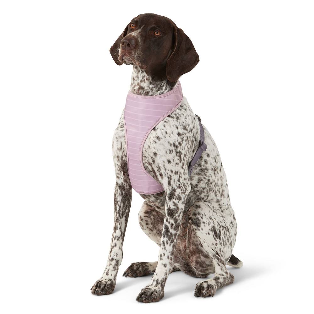 Top Paw Reversible Comfort Dog Harness (2x small/purple)