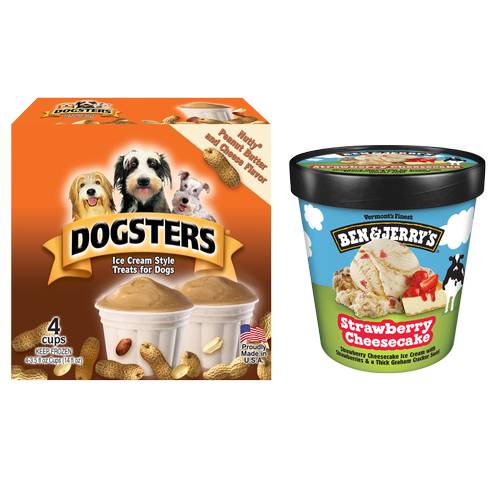 Ben & Jerry's Strawberry Cheesecake / Dogsters Pet Ice Cream Bundle