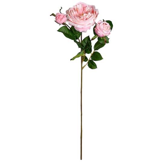 Light Pink English Rose Stem By Ashland