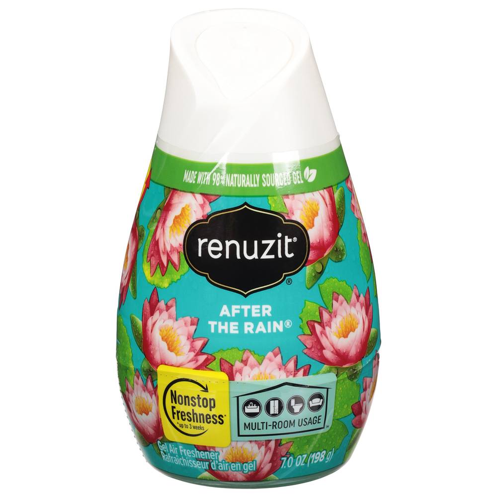 Renuzit After the Rain Gel Air Freshener