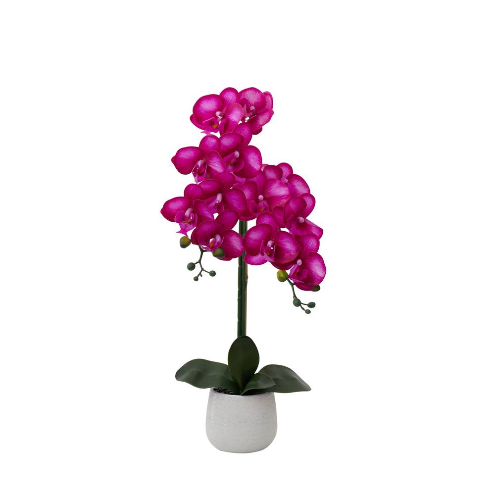 allen + roth 19-in Pink, Green, White Indoor Orchid Artificial Flower | A1997