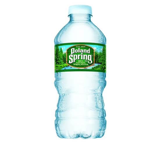 Poland Spring Brand 100% Natural Spring Water Plastic Bottles Pack of 24