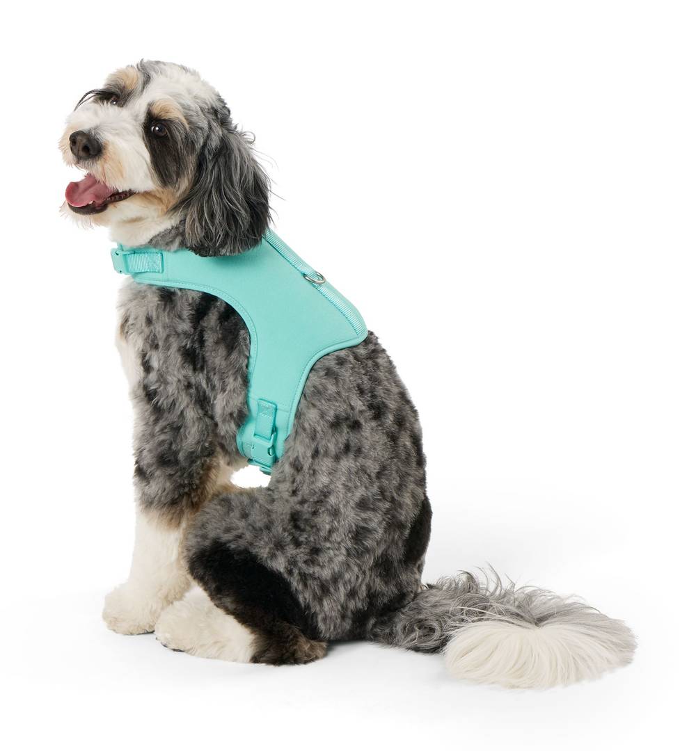 Top Paw® DIY Customizable Dog Harness (Size: Large)