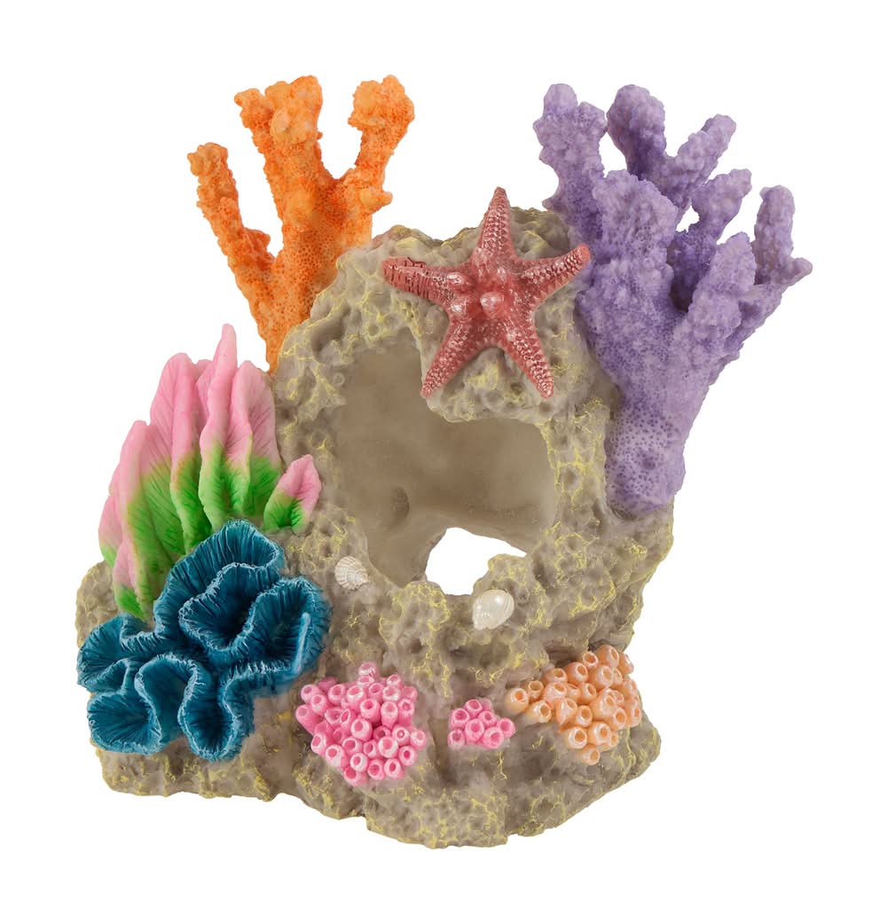Top Fin® Coral Swim Through Aquarium Ornament - Fish Tank Decor - Medium (Color: Multi Color, Size: Medium)