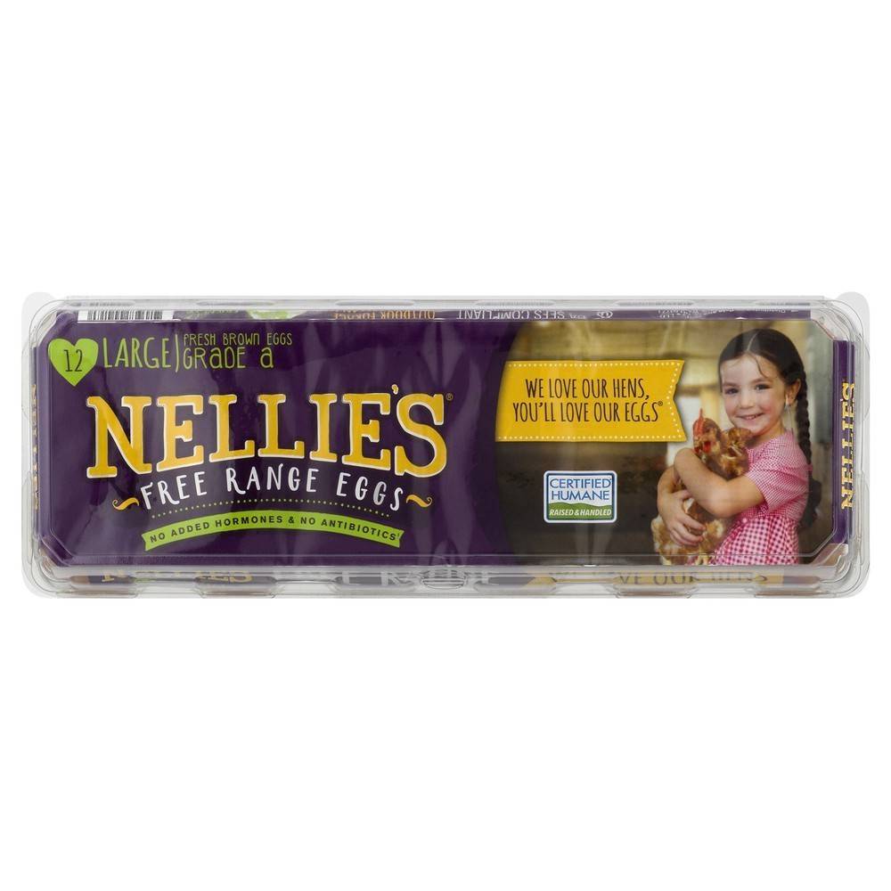 Nellie's Free Range Grade a Brown Eggs, Large (12 ct)