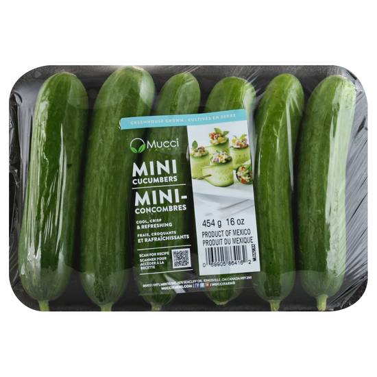 Mucci Farms Mini Cucumbers