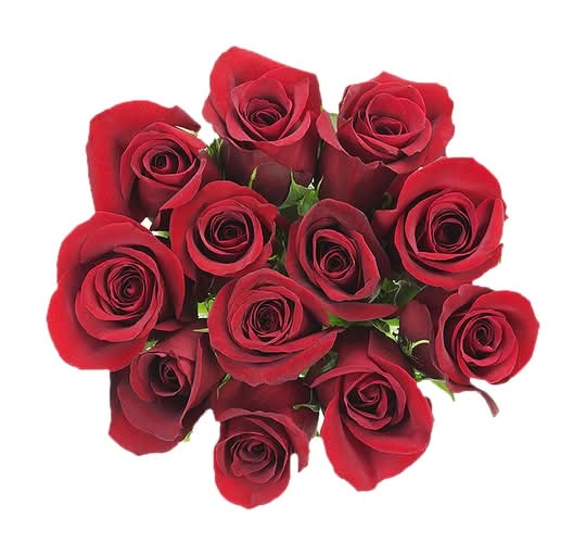 Floral Mother's Day Dozen Rose Bouquet