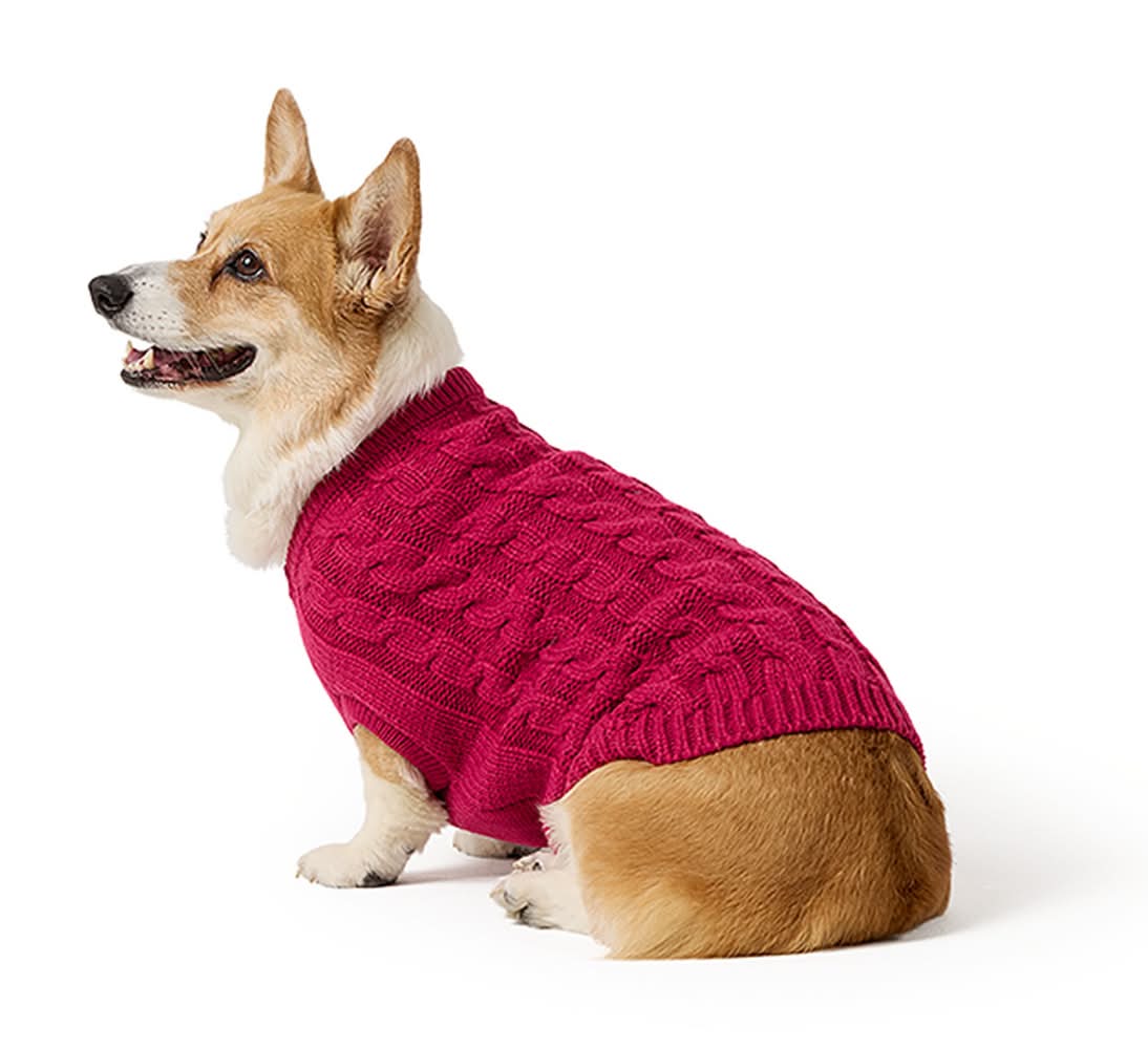 Top Paw® Fall Sweater (Color: Pink, Size: Medium)