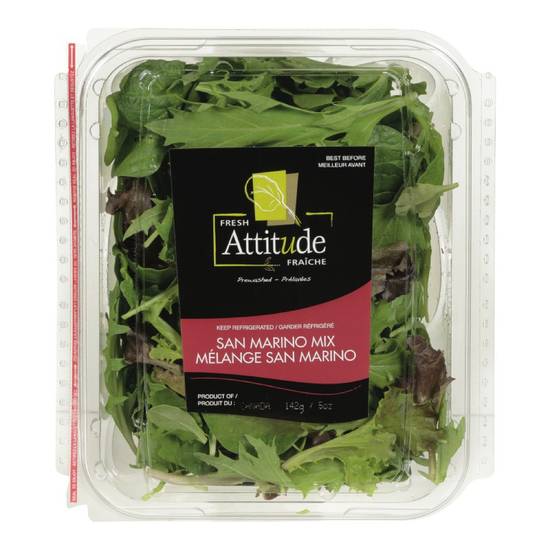 Fresh Attitude San Marino Mix Salad (142 g)