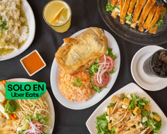 Comidas Guanajuato Suc. San pedro