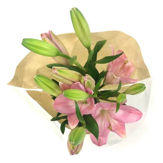 Asiatic Lily (1 ct)