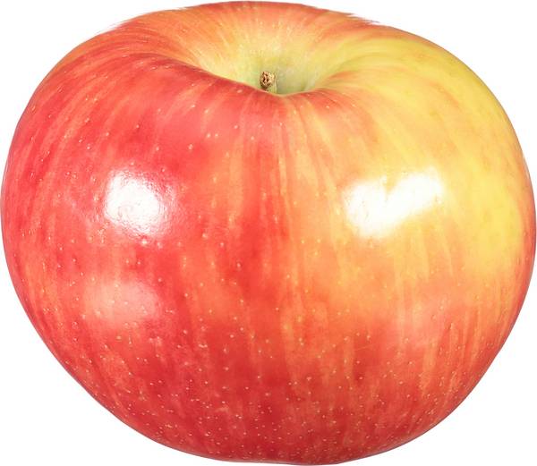Organic Honeycrisp Apple