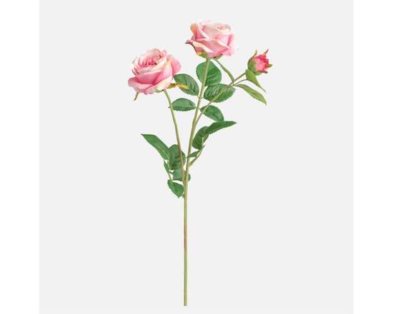 Torre &  Tagus · Fleurs Roses À 3 Tiges (None) - Pink 3-Bloom Stem
