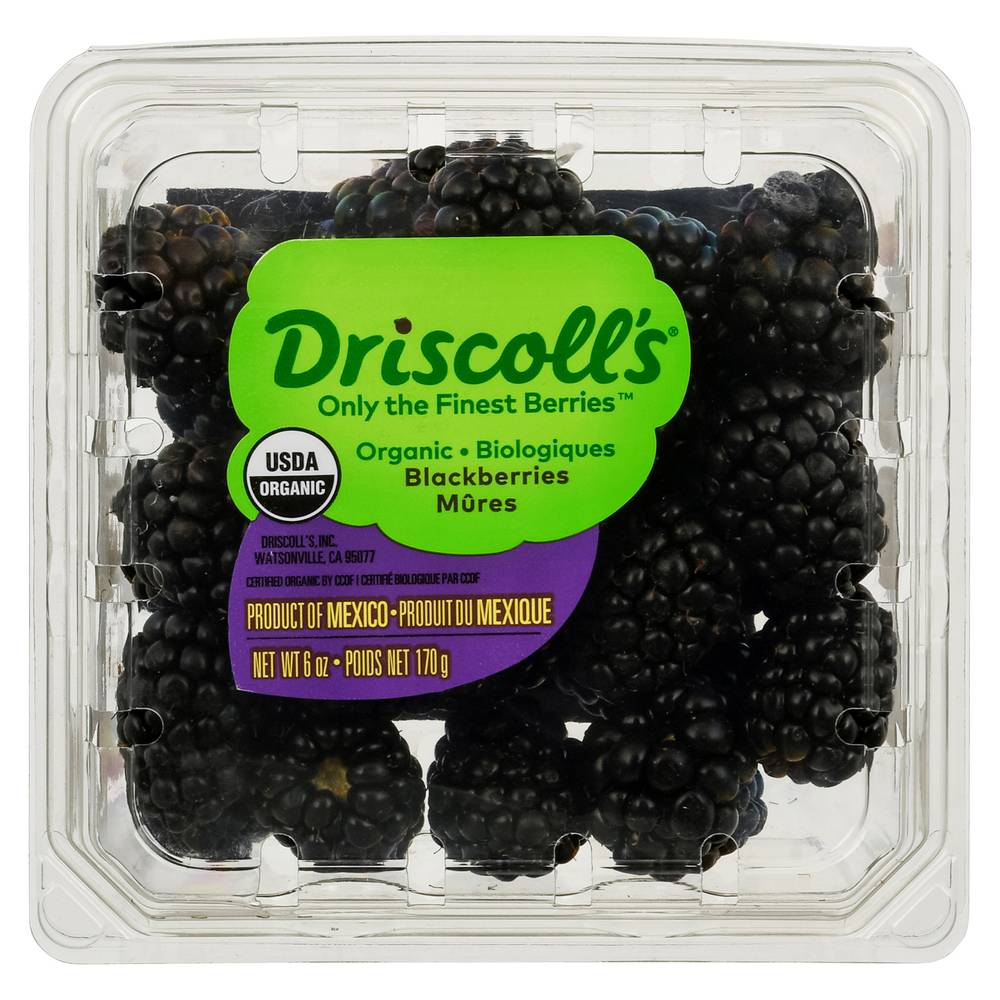 Driscoll's Organic Blackberries