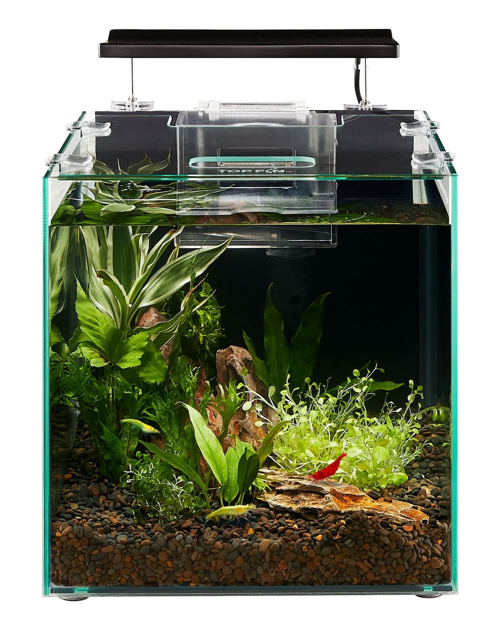 Top Fin® Shrimp & Plant Oasis Tank - 3 Gallon (Size: 3 Gal)