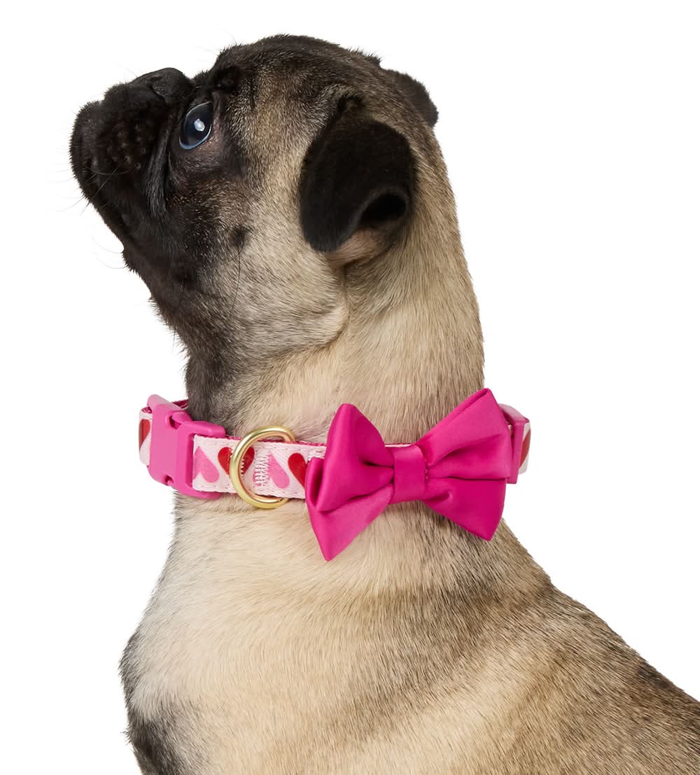 Top Paw® Valenties Day Dog Collar (Color: Pink, Size: Small)