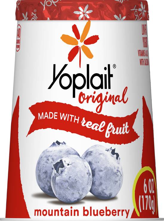 Yoplait Original Low Fat Mountain Blueberry Yogurt