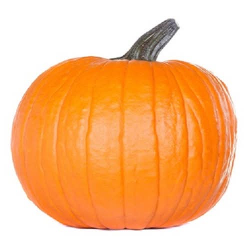 Pumpkin Regular 40/45 1 Count