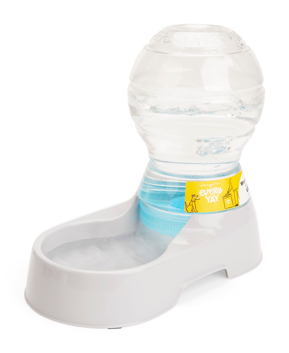 EveryYay 64-oz Dog/Cat Water bowl 1 Bowls