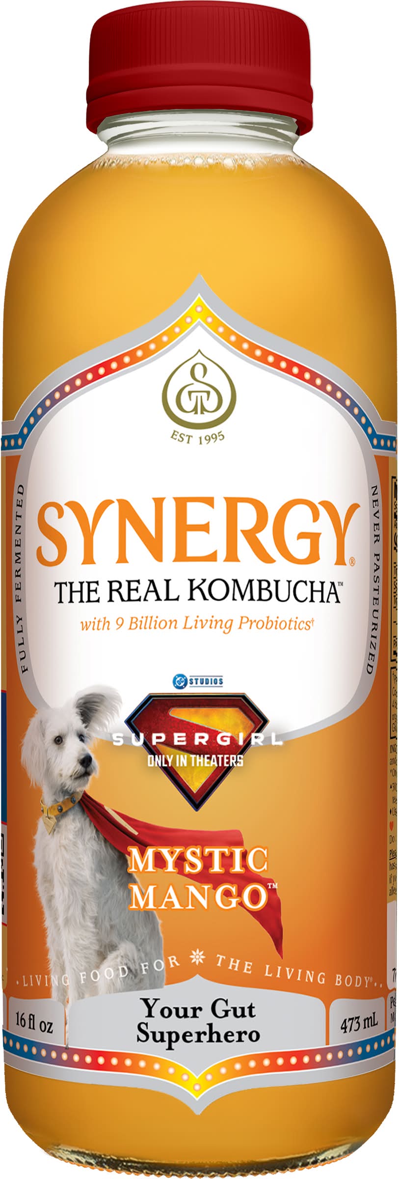 GT's Synergy Raw Kombucha, Mystic Mango (16 fl oz)