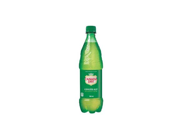 Canada Dry® Ginger Ale 500 mL Bottle