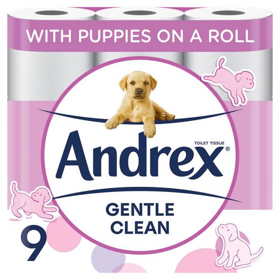 Andrex Gentle Clean 9 Toilet Rolls