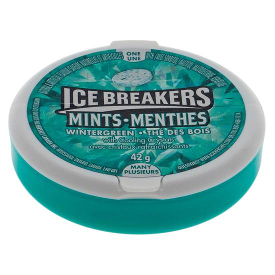 ICE BREAKERS Mints Wintergreen Candies (42 g)