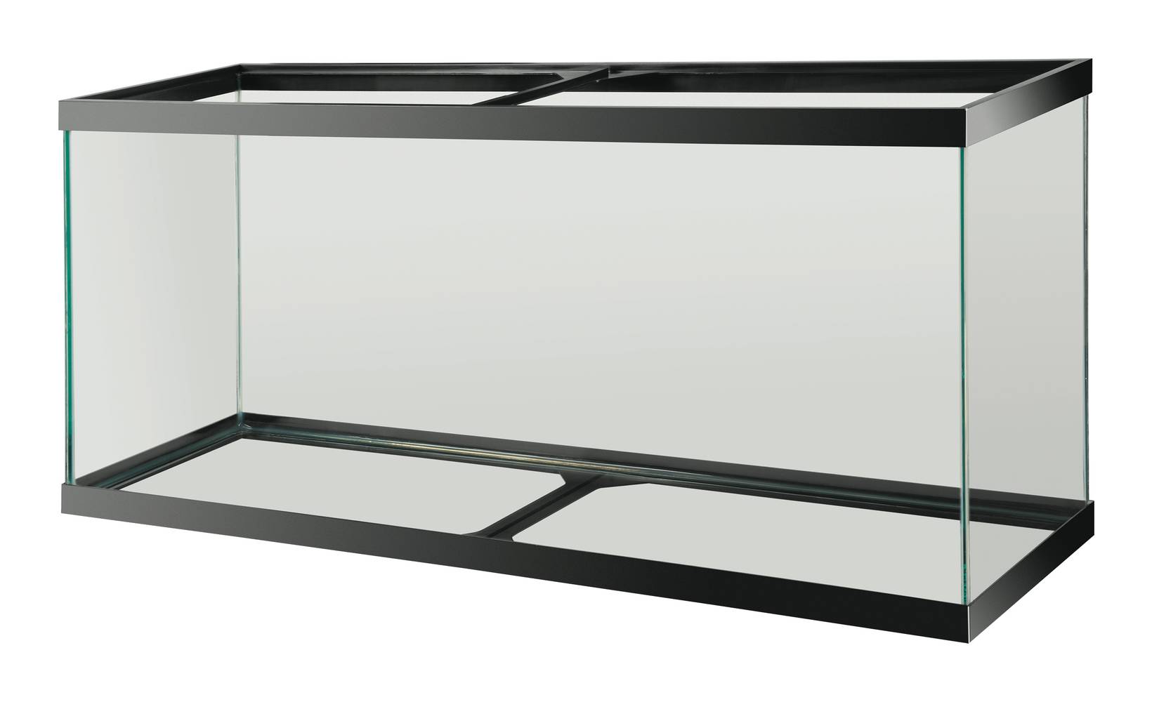 Aqueon 55 Gal Standard Glass Rectangle Aquarium